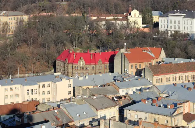 Дахи історичного центру Львова з висоти: черепичні й бляшані покрівлі, дзвіниця монастиря вдалині