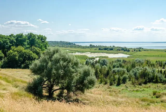 Вид зі схилу тераси на заплаву та широку воду Канівського водосховища в Білоозерському парку