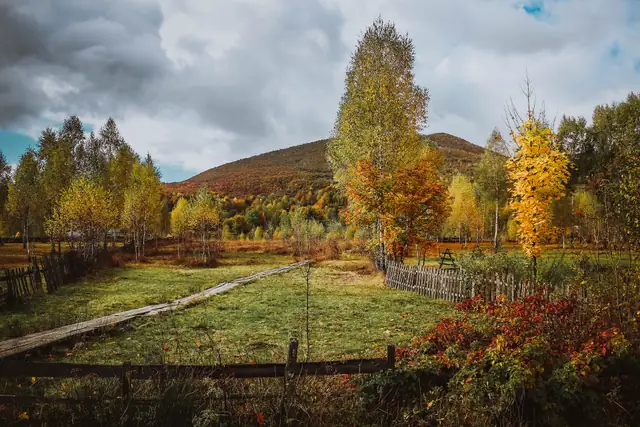 Осіннє сфагнове болото Глуханя з дерев’яною кладкою у Національному природному парку Синевир