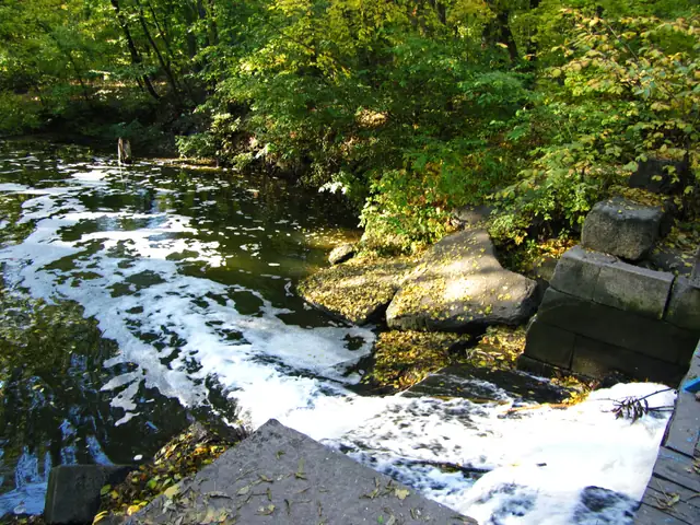 Вода вирує піною через кам’яний край старої греблі на Арбузинці в урочищі Лабіринт біля Трикрат