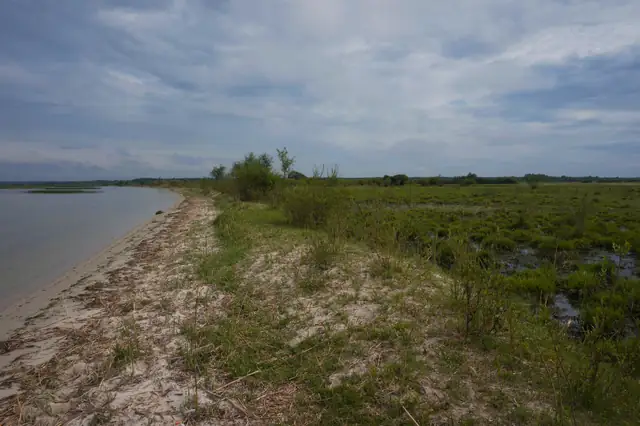 Вузький піщаний берег між водою Пулемецького озера та заболоченою смугою