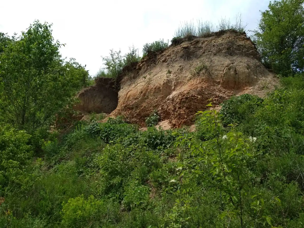 Ерозійне відслонення порід у межах Іллінецького кратера серед польової рослинності