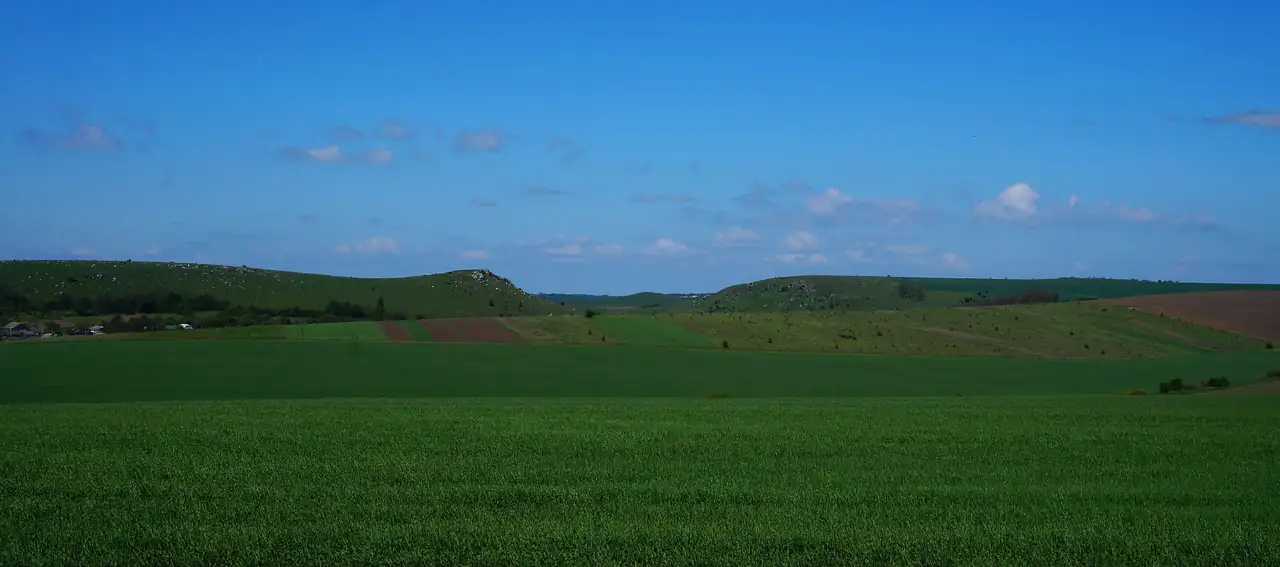 Безлісі пагорби Івахновецьких Товтр серед зелених полів