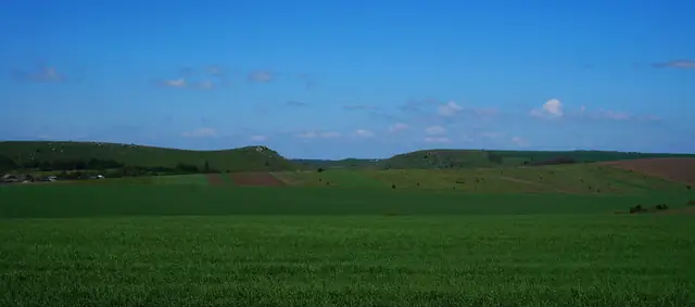 Безлісі пагорби Івахновецьких Товтр серед зелених полів