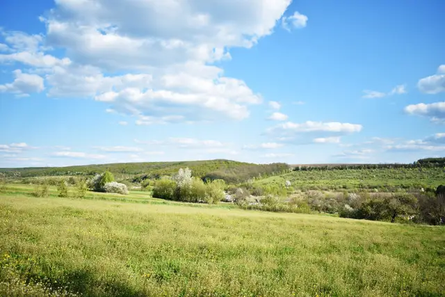 Весняні луки, квітучі дерева й грабово-дубовий ліс у національному парку «Кармелюкове Поділля»