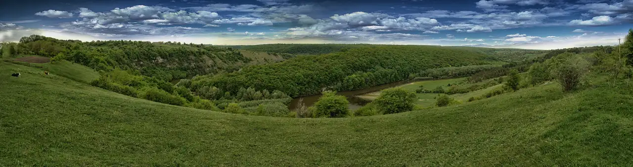 Панорама лісистої долини Смотрича в заказнику Панівецька дача