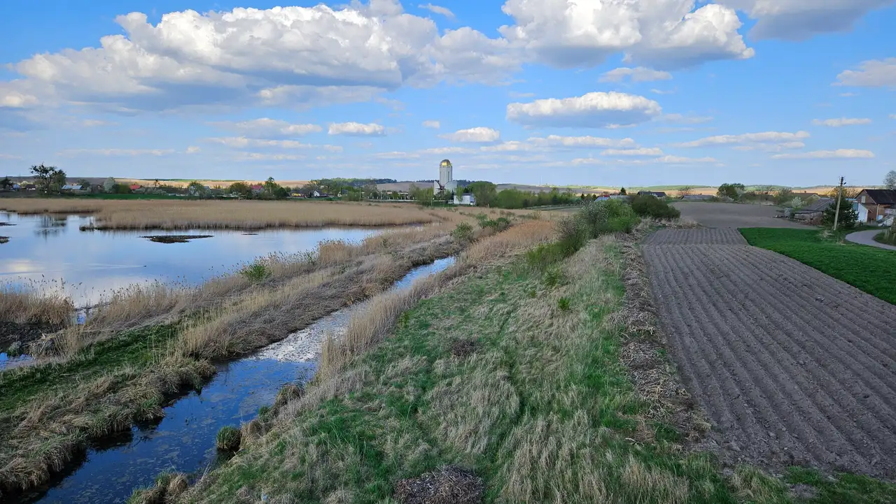 Панорама водойми, полів і села Пересопниця з городища літописного міста