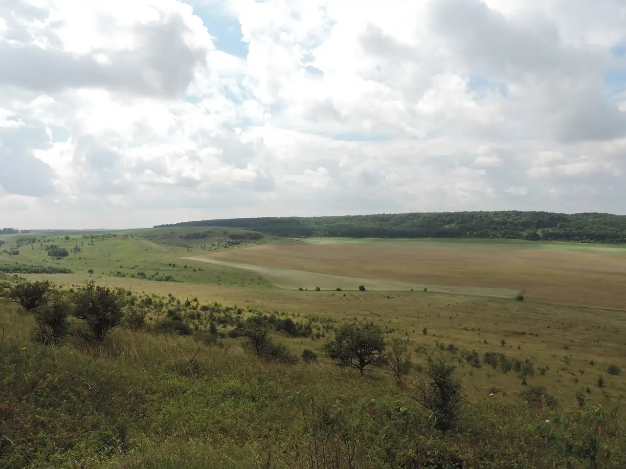 Відкрите горбогір'я з луками й лісовим пасмом у Національному природному парку «Північне Поділля»