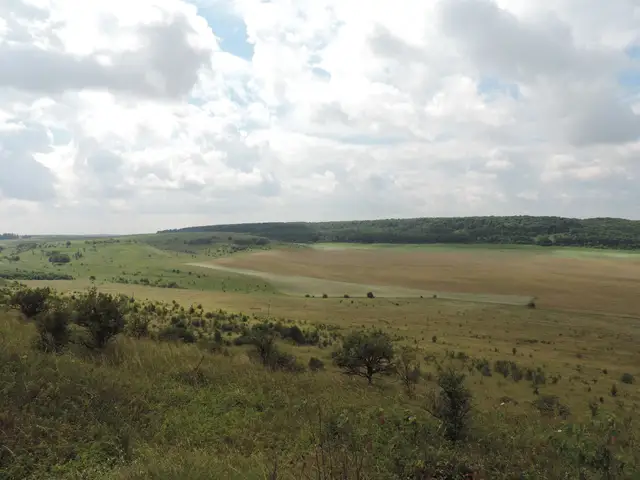 Відкрите горбогір’я з луками й лісовим пасмом у Національному природному парку «Північне Поділля»
