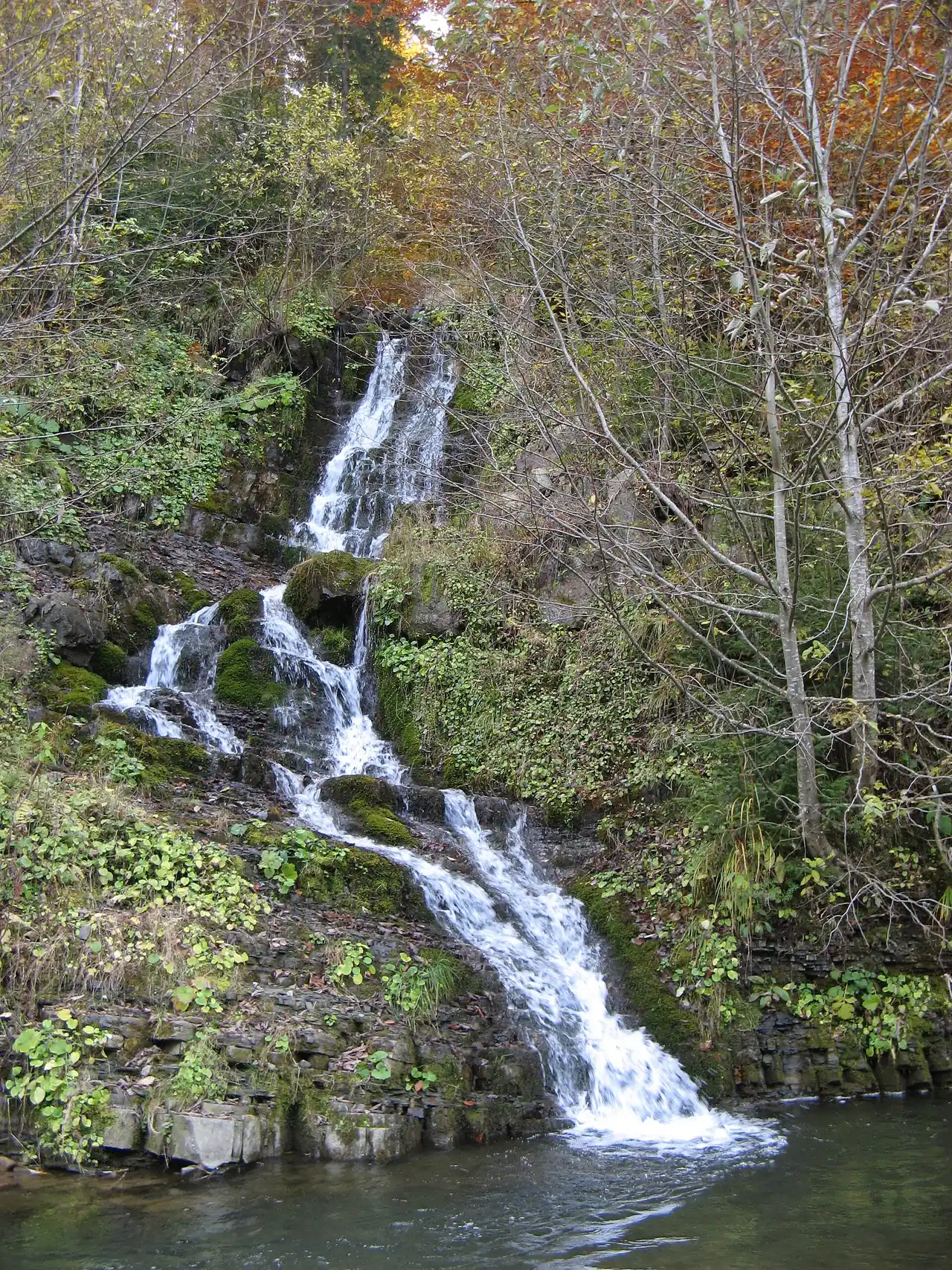 Водоспад Білий звір каскадами спускається скелястим лісовим схилом біля Синевирської Поляни