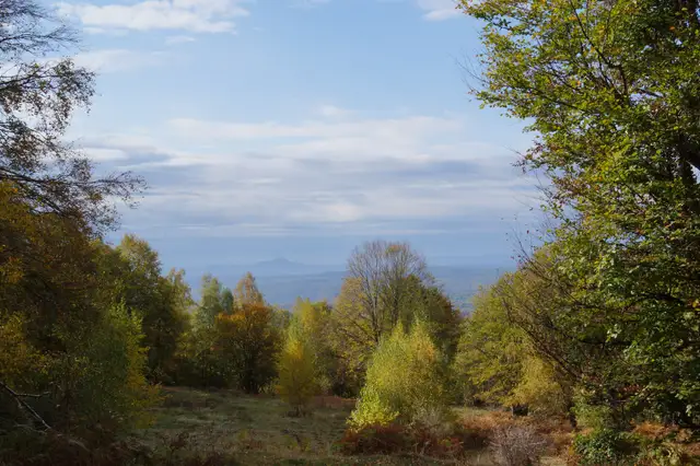 Осінній краєвид залісненого Вулканічного хребта в національному парку «Зачарований край»